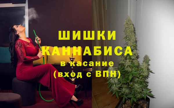 сатива Балабаново