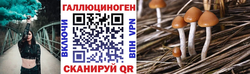 наркотики  Власиха  Галлюциногенные грибы MAGIC MUSHROOMS 